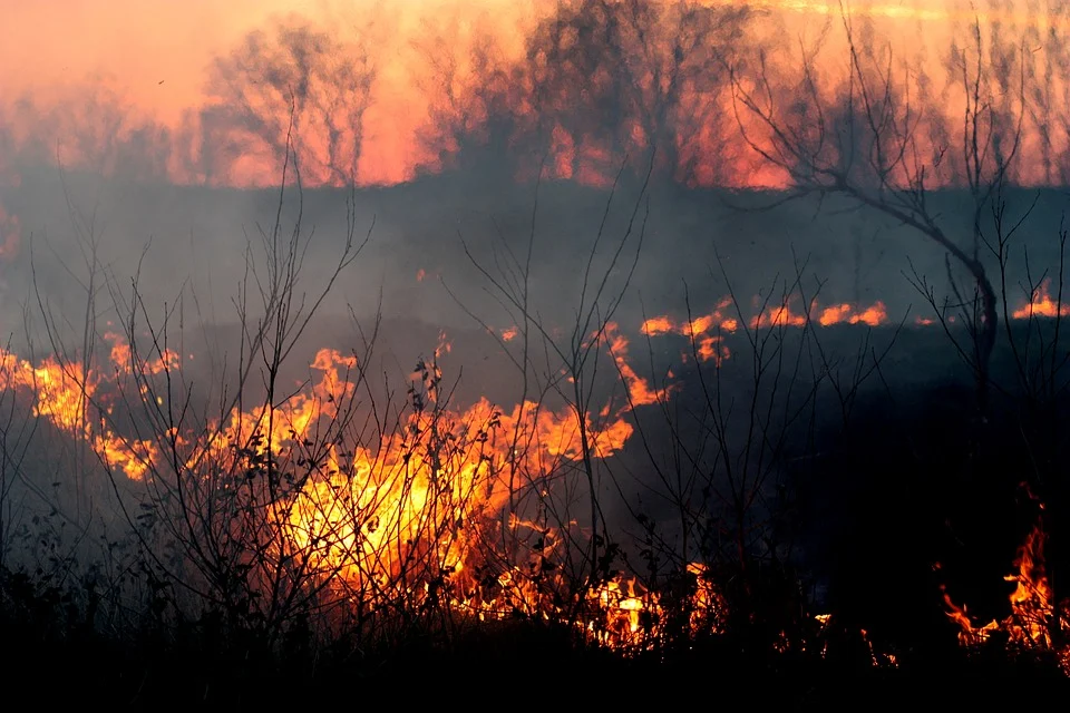 Class action seeking compensation for loss and damages caused by 2013 Blue Mountains bushfires