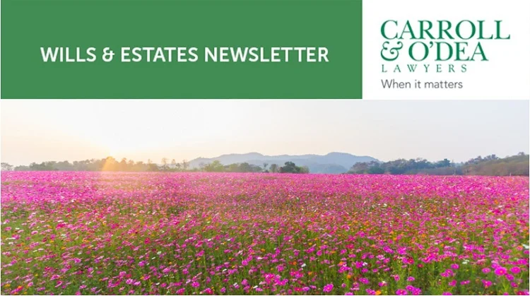 Wills & Estates Newsletter - November 2022